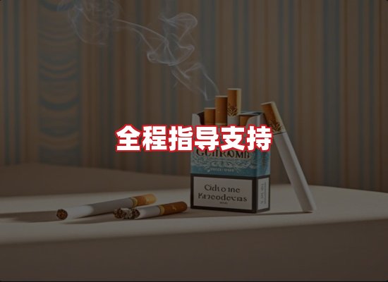 专业团队
